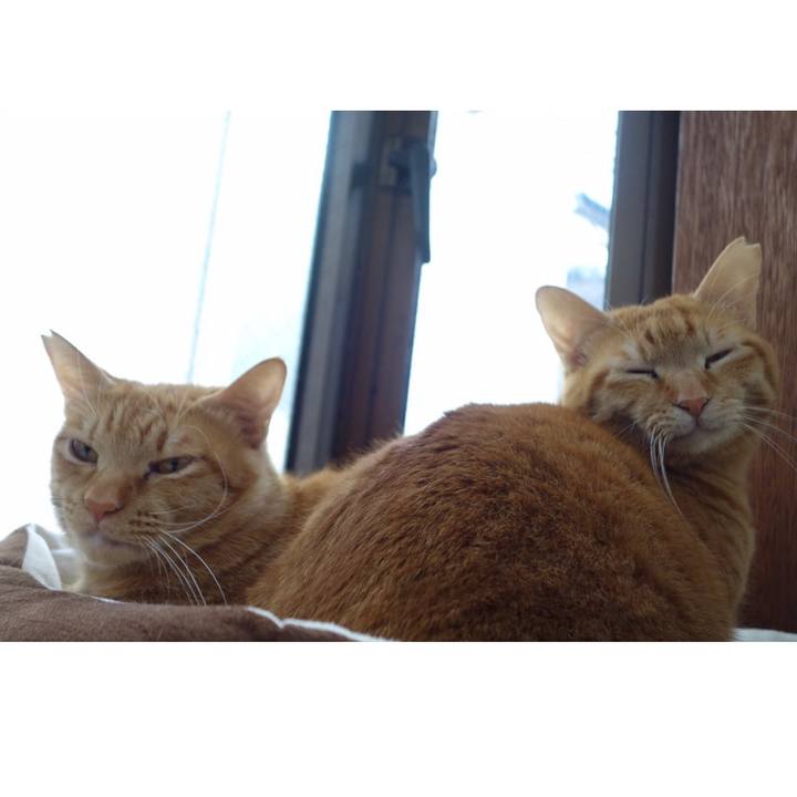 A1c6ea96 7b69 45ca b1dd 6d0c3bcb905c 1586561737898