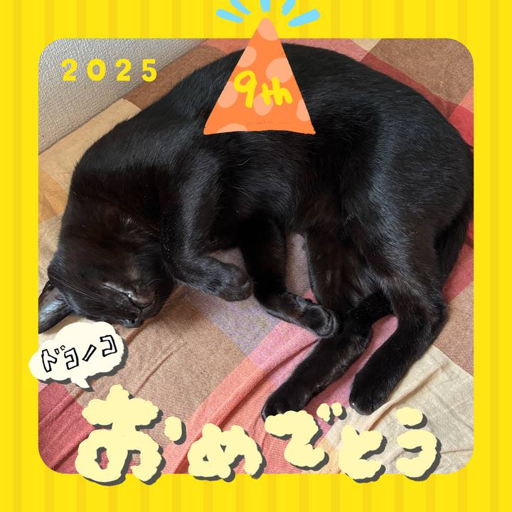 A1c749d8 e012 4186 ac19 84e32e1ae38b 1749264058259