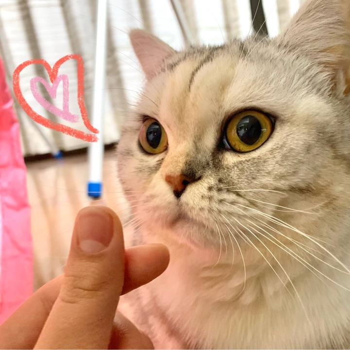 A1c77124 3688 4d53 8a02 ef1afa98754c 1707395156986