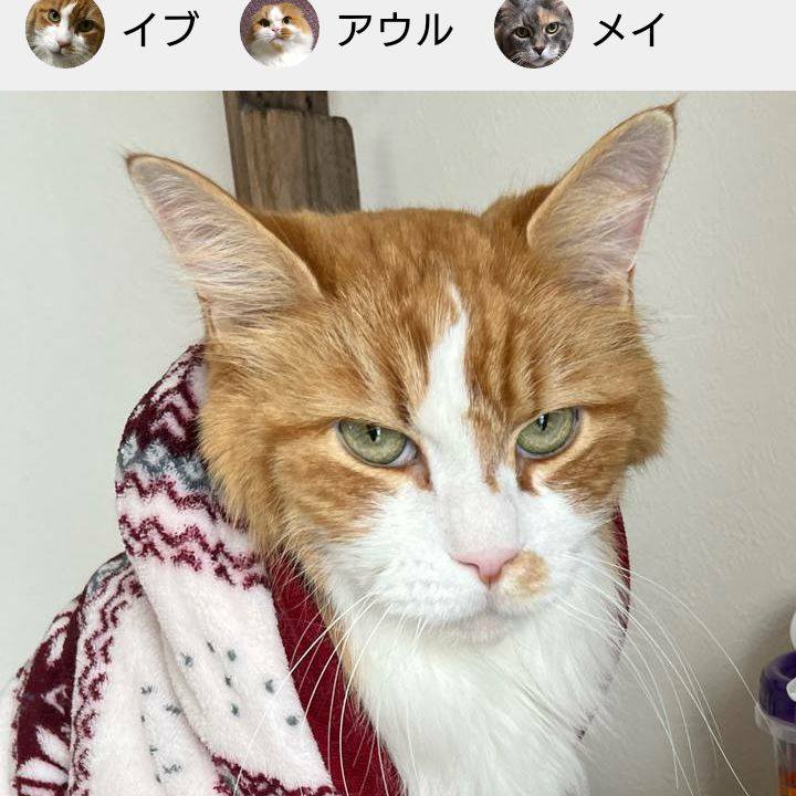 A1c77de2 3f23 42e3 8e5f 80d9cb1ff72a 1646381587796