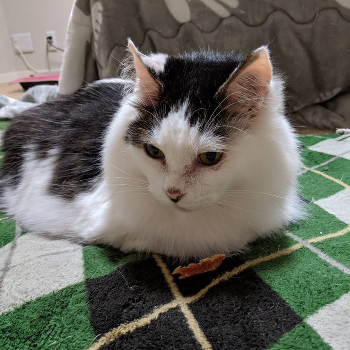 A1c81ca8 6d16 4547 8ff9 c8b4471ebcb8 1555681465876