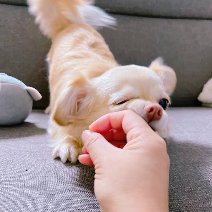 A1c83762 0ad3 44e4 b451 5be0d46a32a5 1650362941986