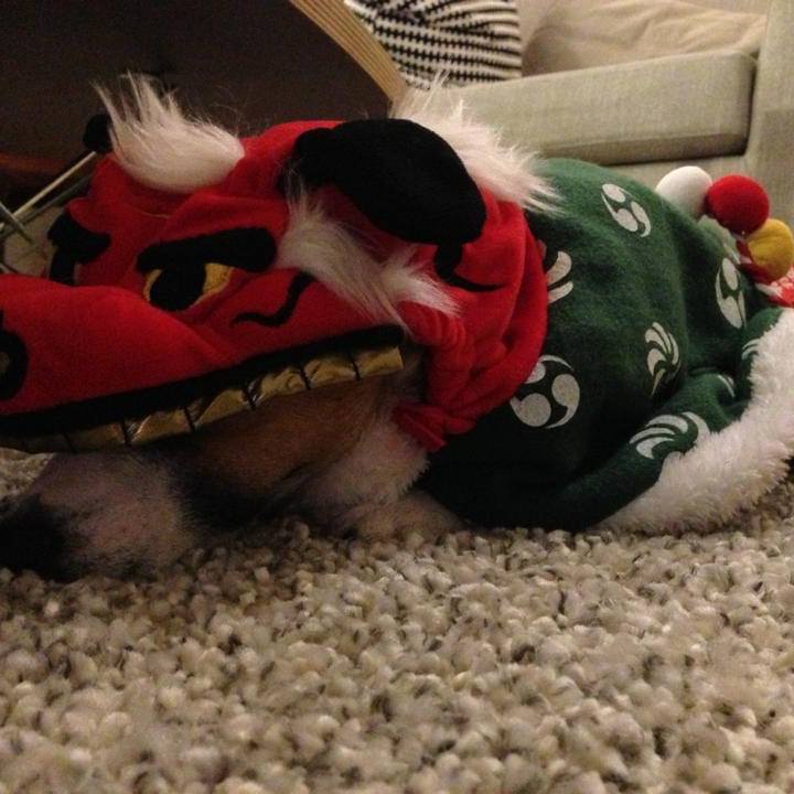 A1c84303 8a29 4651 a03f d703363556ae 1672480835002