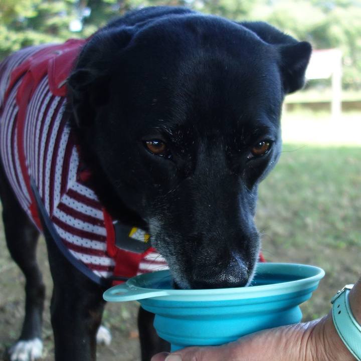 A1c85488 83ac 4523 b8e0 e85deff172ab 1689032537044