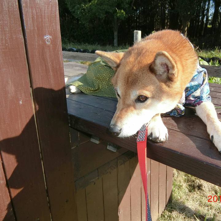 A1c8ac44 6a88 4db4 819c 79d4a5377d73 1573912669880