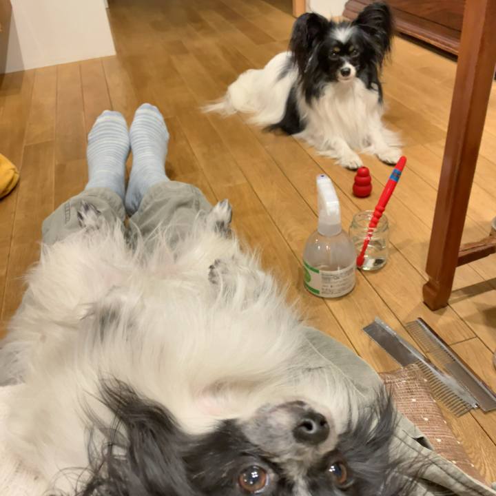 A1c8cccc 6ae0 4a29 a3f1 3ef286938d7c 1552997558670