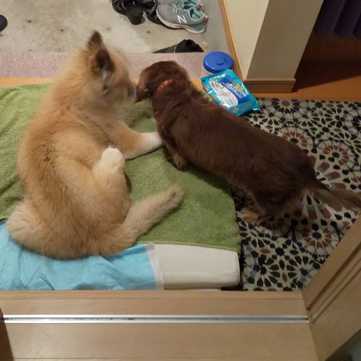 A1c8ef4e 9fc0 40a4 94a0 a3bc02fe1be6 1603293941823