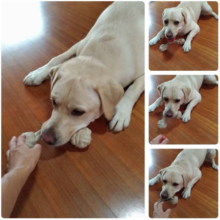 A1c901c3 fa2a 4cbf 92ab 7e2d0f4f3e7b 1536986757021