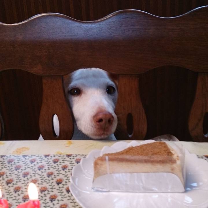 A1c91638 cea4 4090 bcf9 8653d48884e9 1681520718947