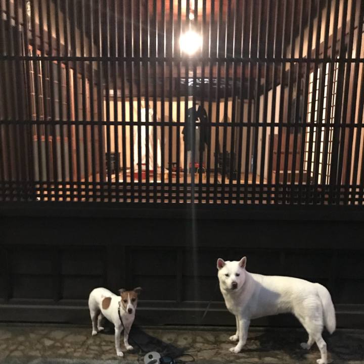 A1c91b26 1d8e 41ad 9902 5ca4b446c8cf 1509274007193