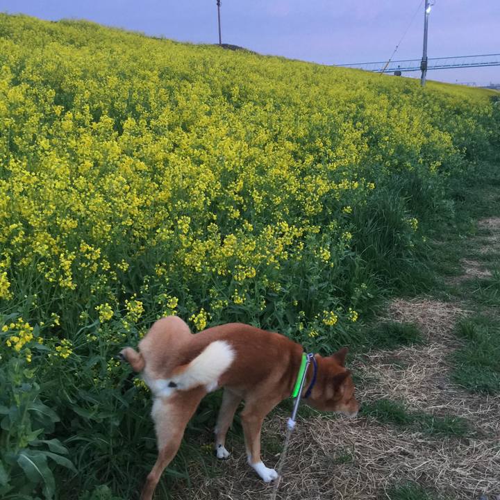 A1c9499f 666a 48ca 9808 4114c36c73b0 1521430978141