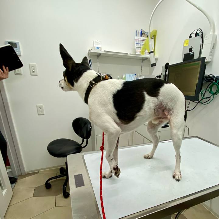 A1c9894e d0d7 476e a582 b00f81361a44 1620889579024