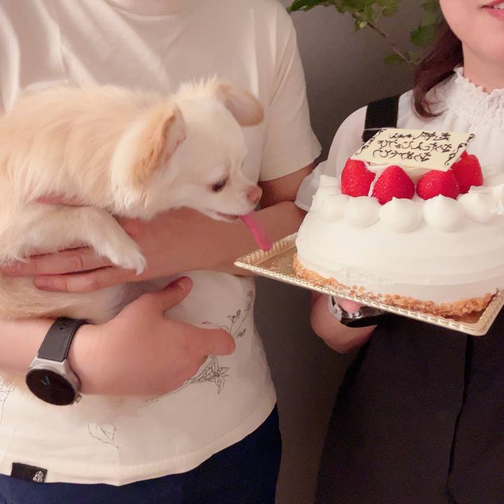 A1c9e62d ddaf 4466 a774 4d5b55dcf745 1717918871126