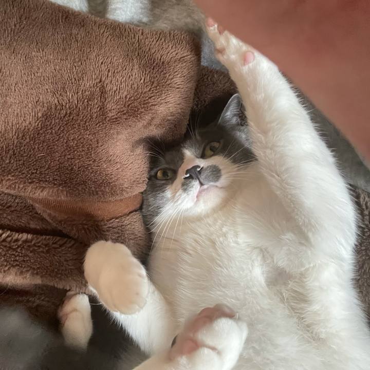 A1ca121d 94b3 4e40 bd3d 93a01c4e58e6 1636767284201