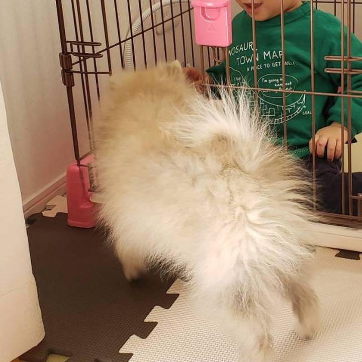 A1ca14d0 7c0a 4589 b642 33fbb316254e 1612593641854