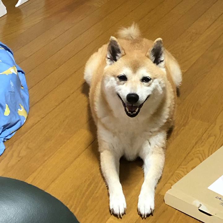 A1ca1bcf 0ddc 4efe b61d 5e21afc937e7 1594987343961