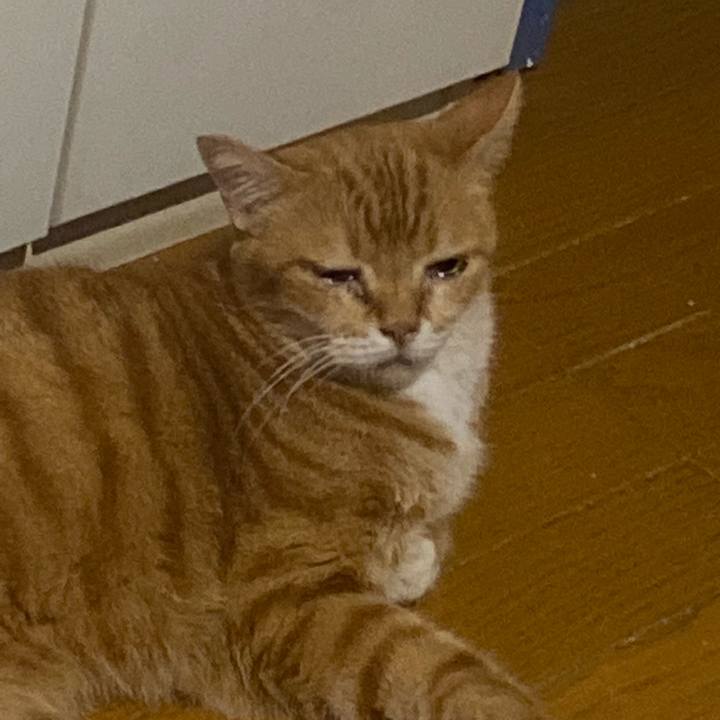 A1ca6c32 a04f 4aa4 b8f3 3035109a23e9 1695049152281