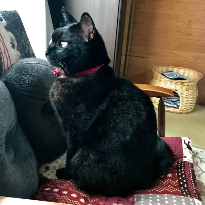 A1ca709b 7b93 4a30 980b 1801b5628a9b 1540189774843