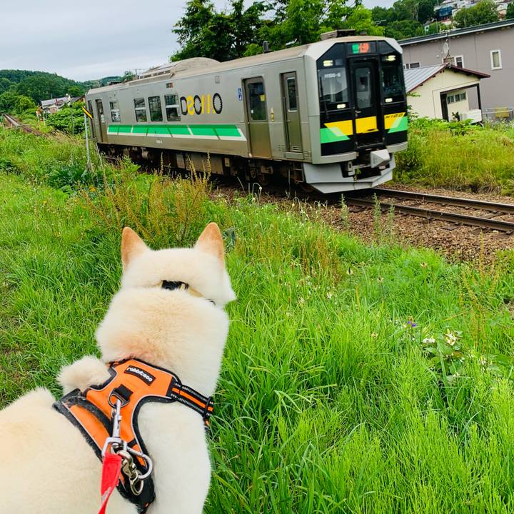 A1ca73b2 a09b 42b5 adab 237ff4318f96 1626037726257