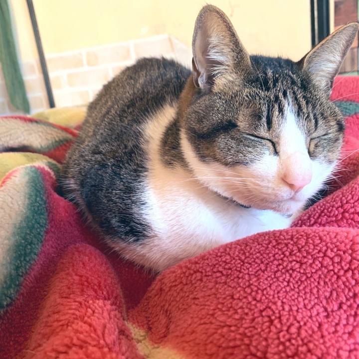 A1ca83e7 943b 4717 8c41 45832f4616b5 1578539932944