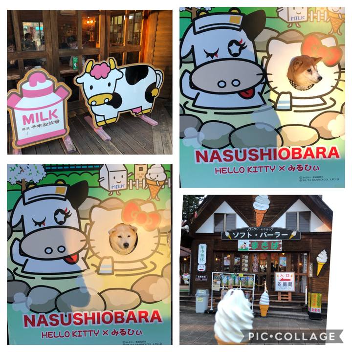 A1caae6c 09fa 4cf5 b1b3 b4a6b3c44156 1577691538302