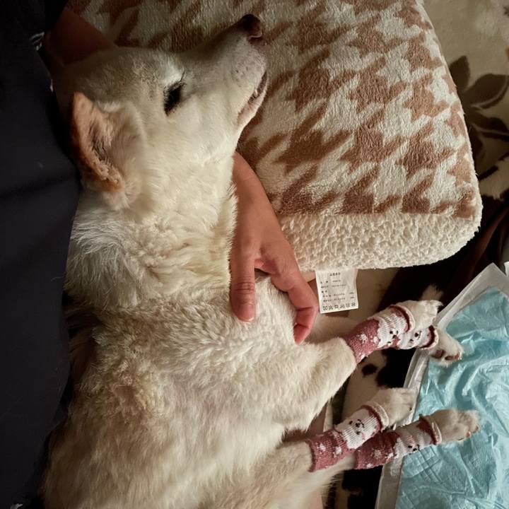 A1caf3c7 7ffe 4122 be2f eb5736ccf830 1684444582797