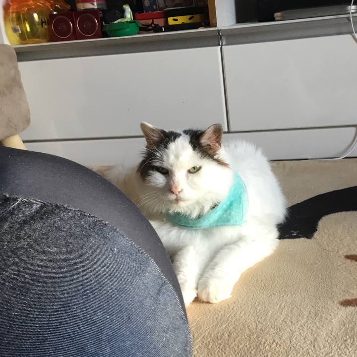 A1cb245d e661 4c6a afe7 39ef32466880 1575009863625