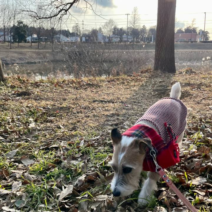 A1cb4152 1e8a 4cee ac5f 863943ed7e66 1644304456068