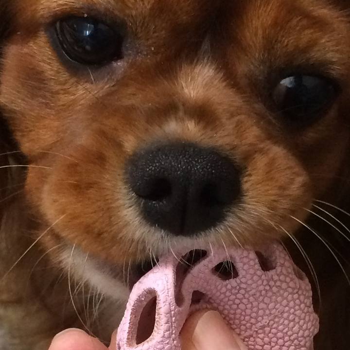 A1cb43e2 e2db 41e7 9f87 32bb670254fe 1523365568978