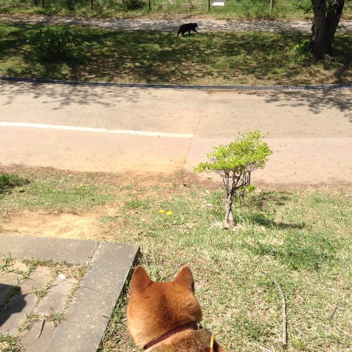 A1cb61b1 a1a7 4721 b69e 770d529c7439 1523335663702