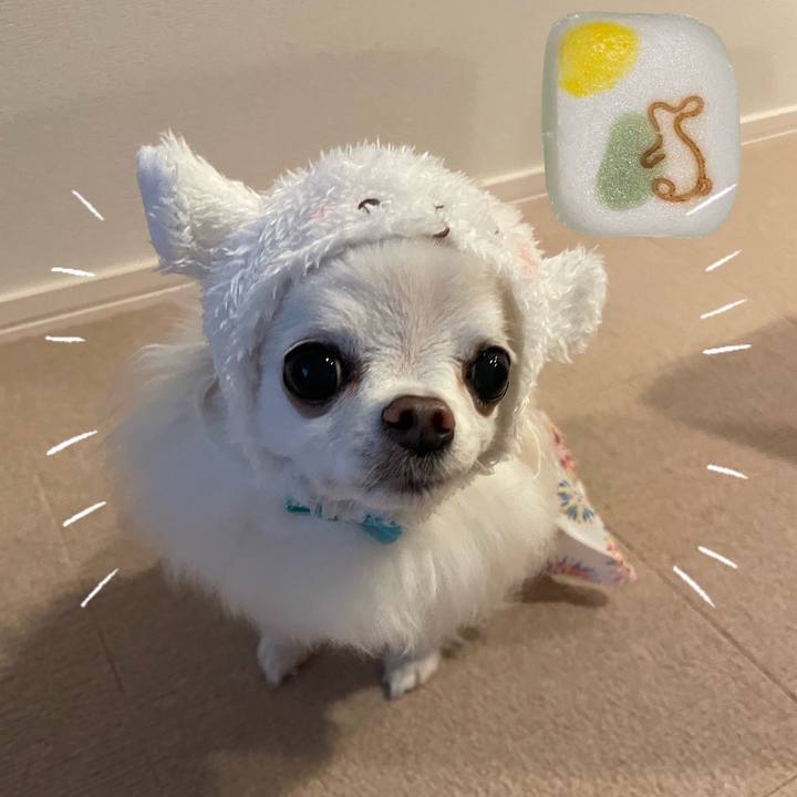 A1cb7278 4813 463e 9426 eb0bcb446062 1662769216039