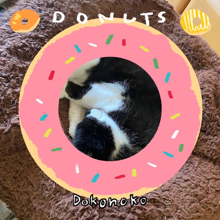 A1cb7566 af1b 4953 941f d791bb00468b 1744703963186