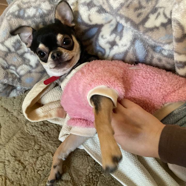 A1cba60c d55f 4178 b262 3c0e60765a76 1739175795652