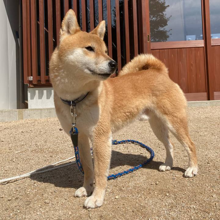 A1cbb539 da55 416b ab1c 480e6879561a 1647079940398