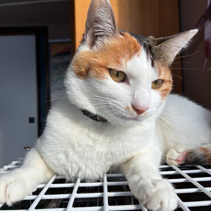 A1cbc452 8dff 4296 8685 92348eef6566 1768821338989