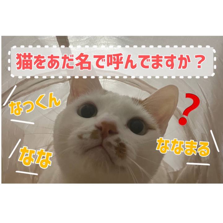 A1cbc90a 9f12 4939 a77f 190dfdbe9da7 1646218165551