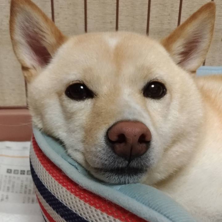 A1cbdce1 7927 4814 8374 6d22092d7a16 1568115002817