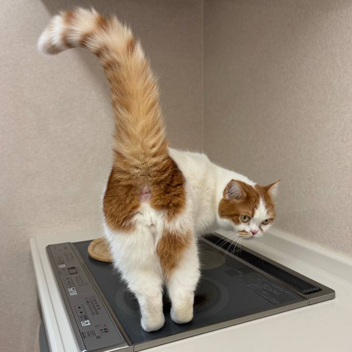 A1cbf069 dd92 4ba3 b1a1 cae5bcc59c60 1773540546917