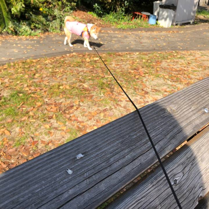 A1cc1ae0 a8bc 4d87 a0d6 e9701fe8453d 1605146038731