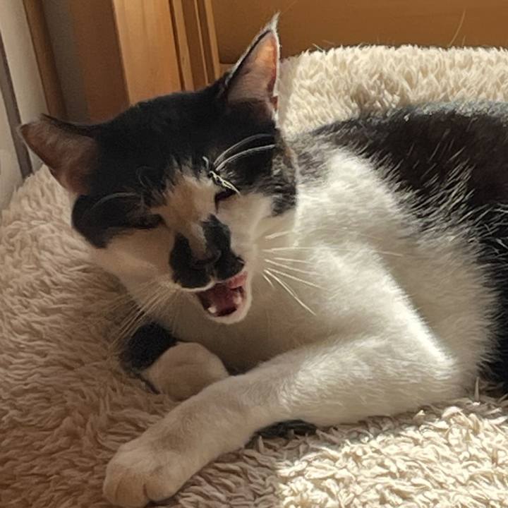 A1cc4a38 0d05 469c 8144 fa7bc66723f3 1767487739875