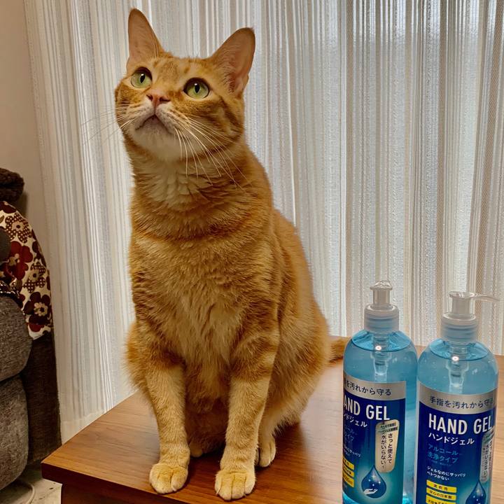 A1cc7485 bcf5 4469 8f48 2e1353b49b89 1587339174645