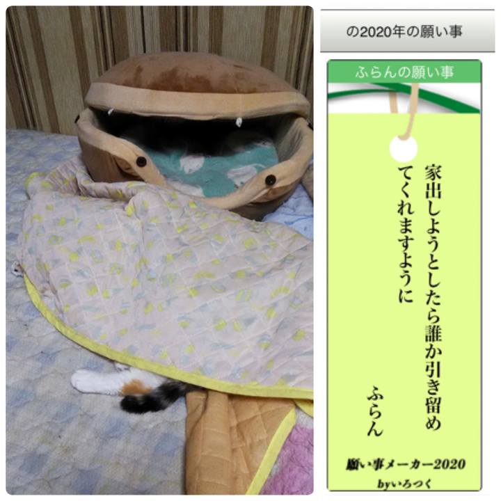 A1cc8472 7509 4d37 9d34 b014b38c6f5b 1594115842831