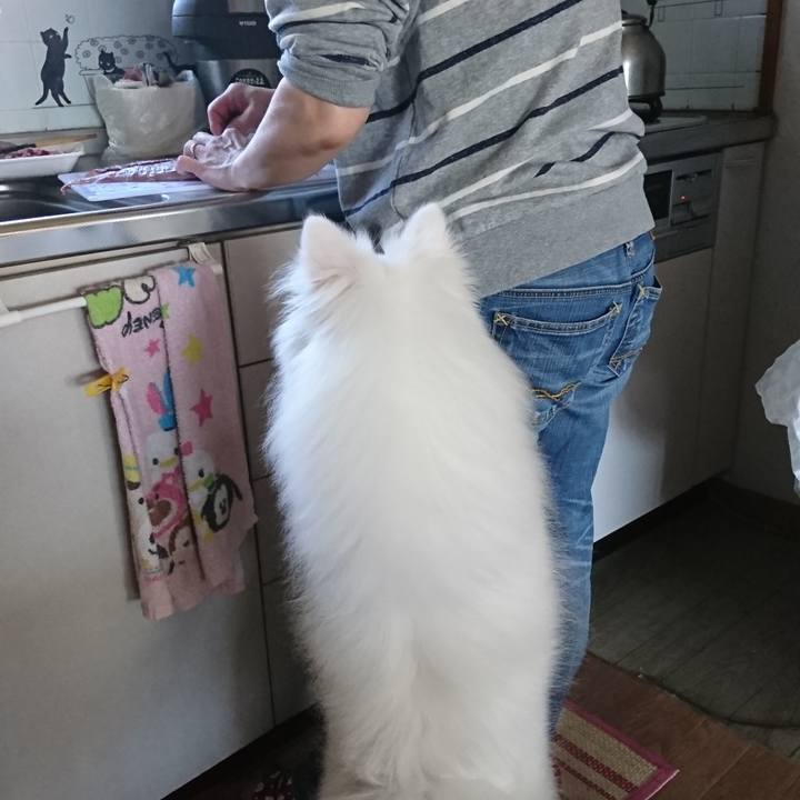 A1cc8ec8 b55b 4c17 93a7 789bc7fe3144 1556413691025