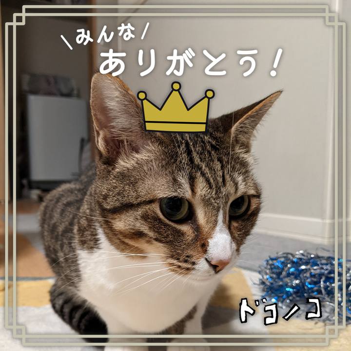 A1ccceca bc3d 4c0c b352 c809ab214ea9 1622985905947