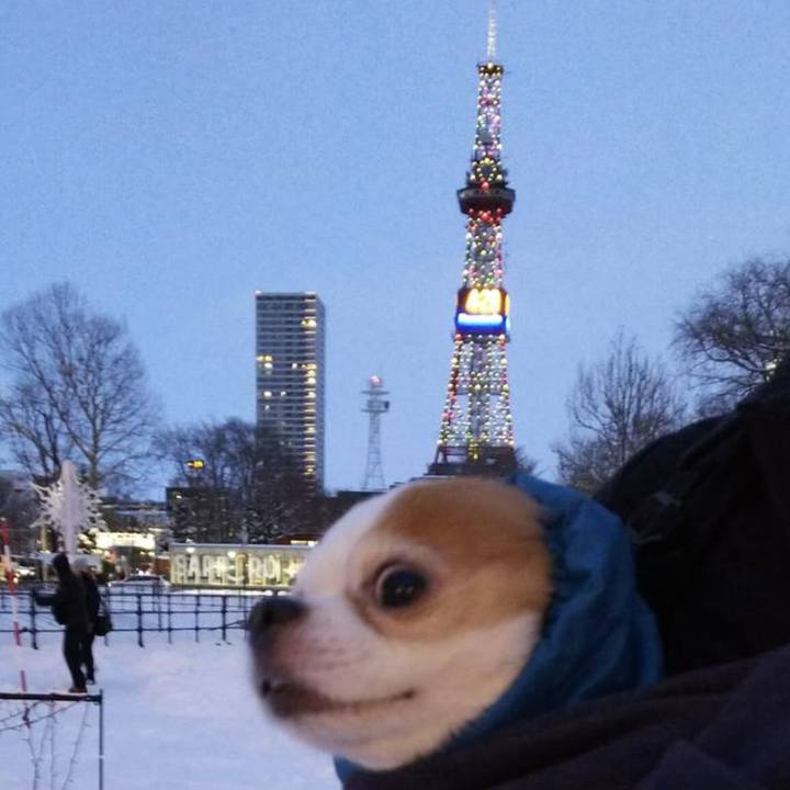 A1ccd0f2 1dc6 4c04 8c6d f2d7f9cca2c2 1674572355810