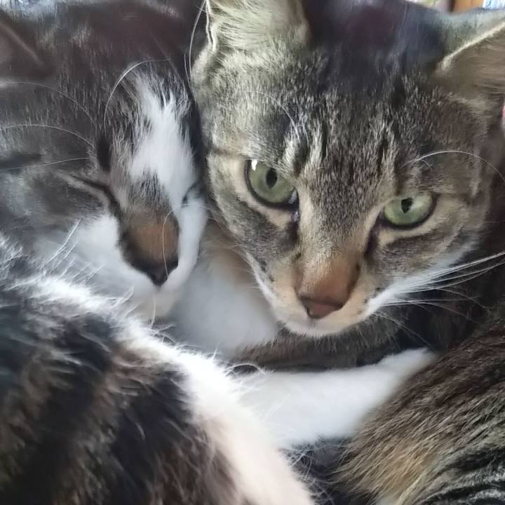 A1ccd416 146e 45be 877b c2f9e632bc4e 1616399634902