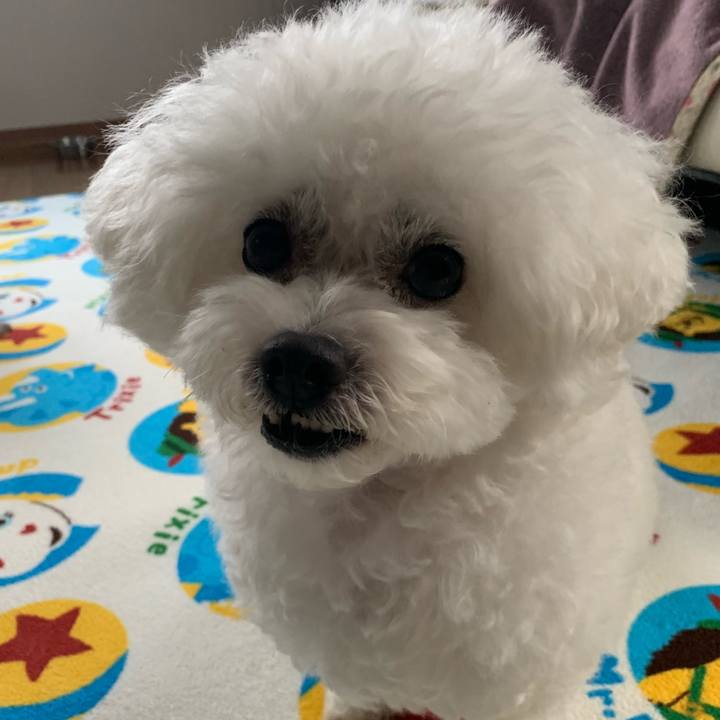 A1ccd5d8 cc26 4786 b27e f747c5c124b6 1572563635146