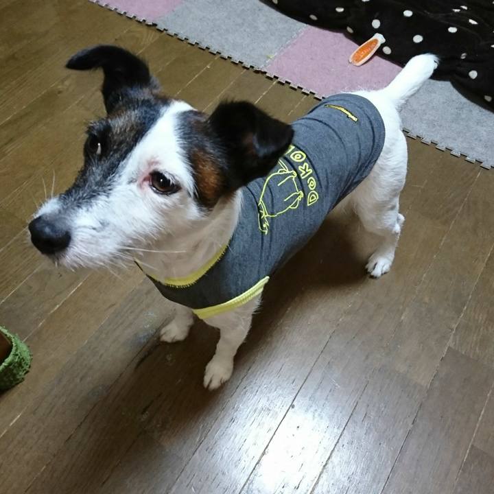 A1ccda9f 3fbe 4209 8d03 d5f341a12afc 1511089163673