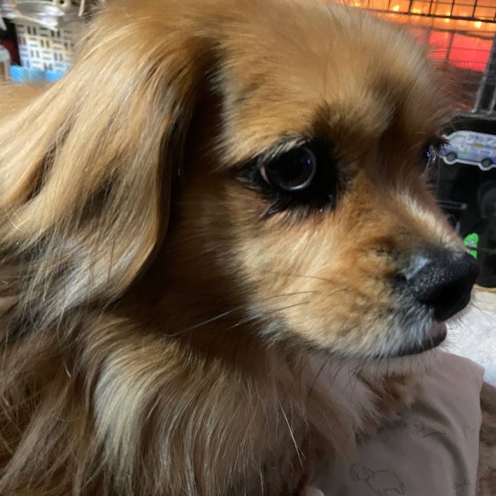 A1cd1ff7 604f 4c02 b4e2 d32478e9b18c 1643925367091