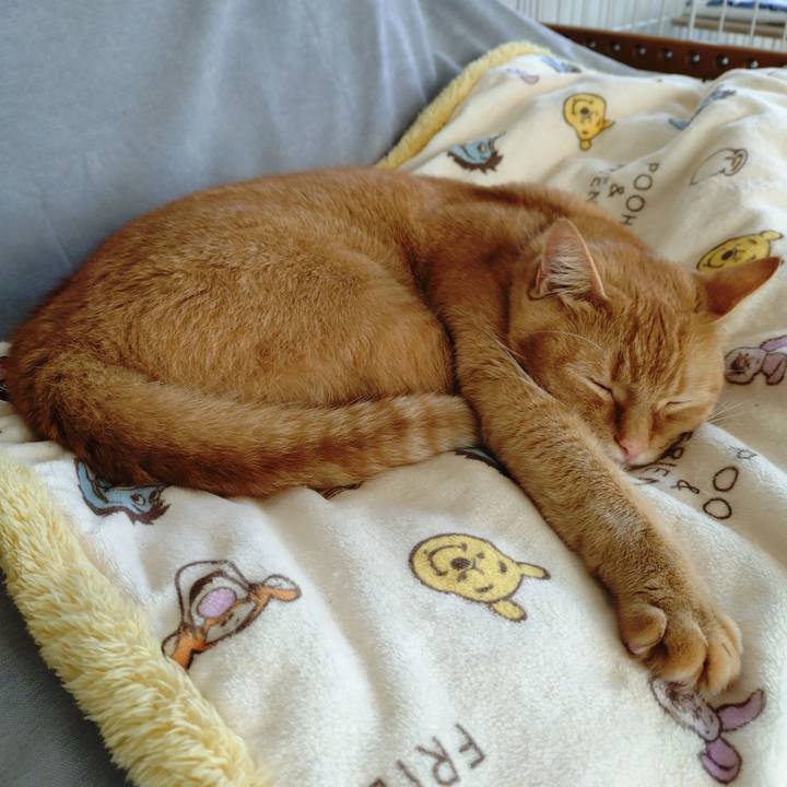 A1cd6863 b1c4 4960 88d1 f32e7730d5c7 1762149411200